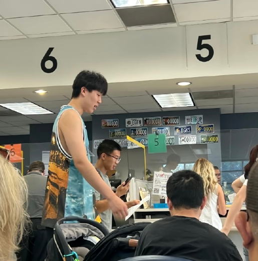 src, 今夏与开拓, 片显示在波